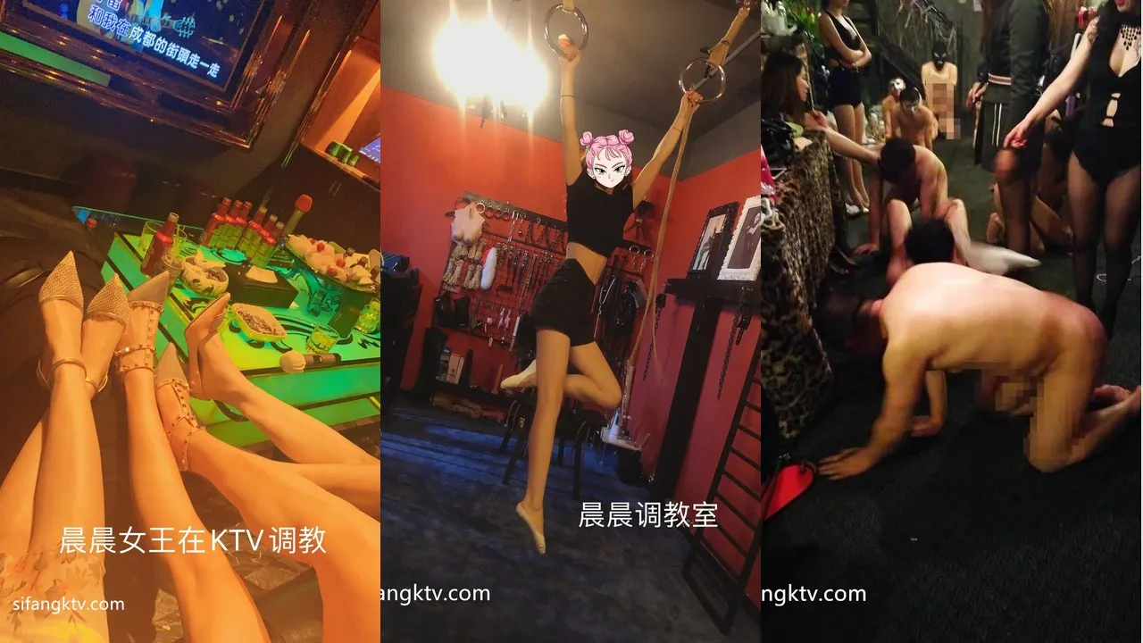 [重口警告]女S@晨晨女王 调教多位抖m奴合集 [144V139P_2.23GB]